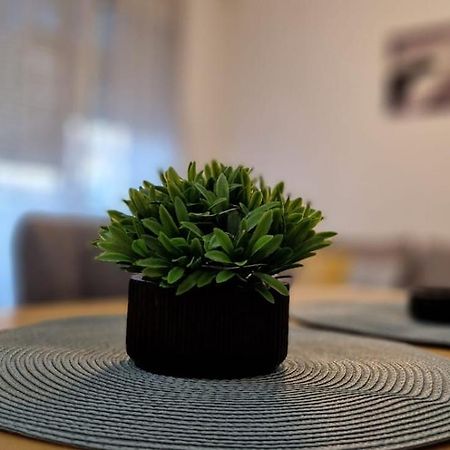 Apartment Luki Нови Сад Екстериор снимка