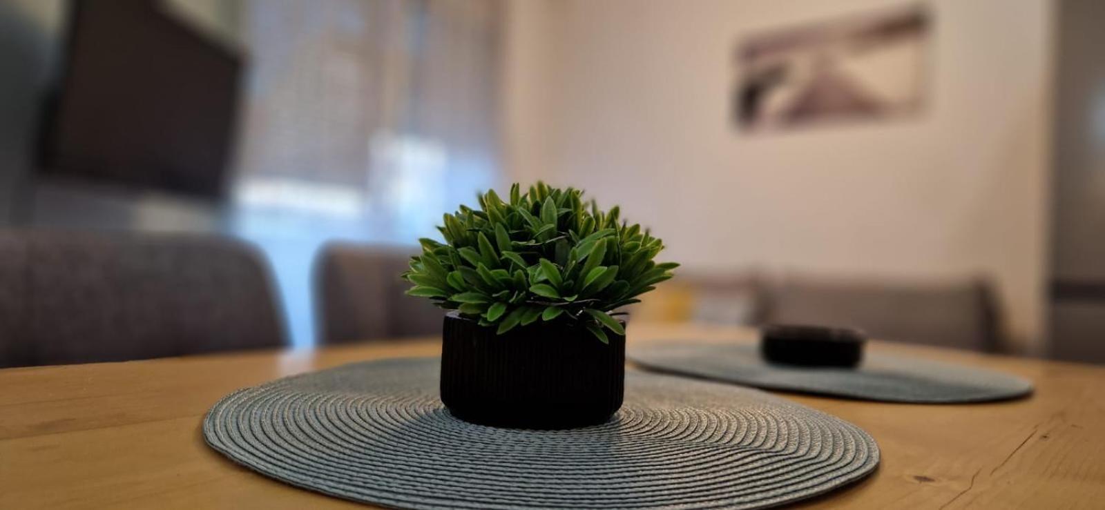 Apartment Luki Нови Сад Екстериор снимка